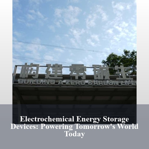 Electrochemical Energy Storage Devices: Powering Tomorrow's World Today